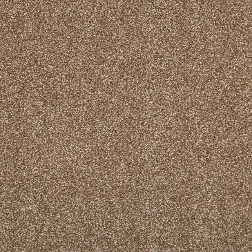 Mohawk Memory Lane II Carpet in Brazen, , large