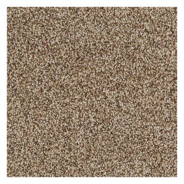 Shaw Detailed Tonal Carpet in Twig, , large