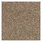 Shaw Detailed Tonal Carpet in Twig, , large