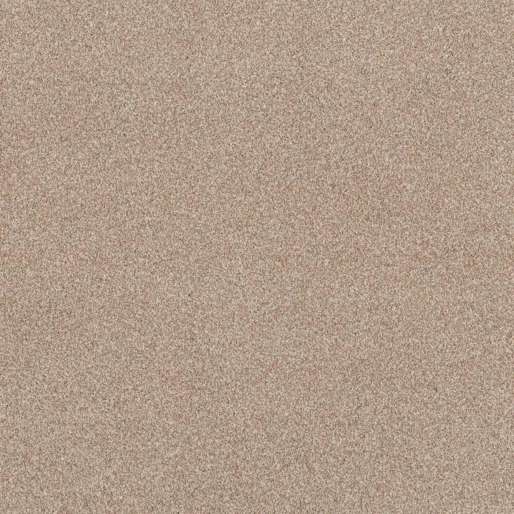 Anderson Tuftex Terra Nova Carpet in Beach Grass, , large