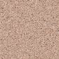 Anderson Tuftex Enduring Charm Carpet in Apricot Ice, , large