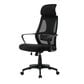 New Era Holding Group LTD Mesh Desk Chair with Headrest in Black, , large