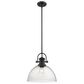 Golden Lighting Hines 1-Light Pendant in Black with Seeded Glass, , large