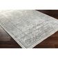 Surya Hightower HTW-3000 4" x 6" Ivory and Gray Area Rug, , large