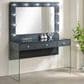 Pacific Landing 47" Vanity Set with LED Accent in Grey High Gloss and Clear, , large