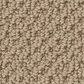 Anderson Tuftex Gracious Carpet in Safari, , large