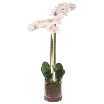 Uttermost Blush Orchid in Pink and White, , large