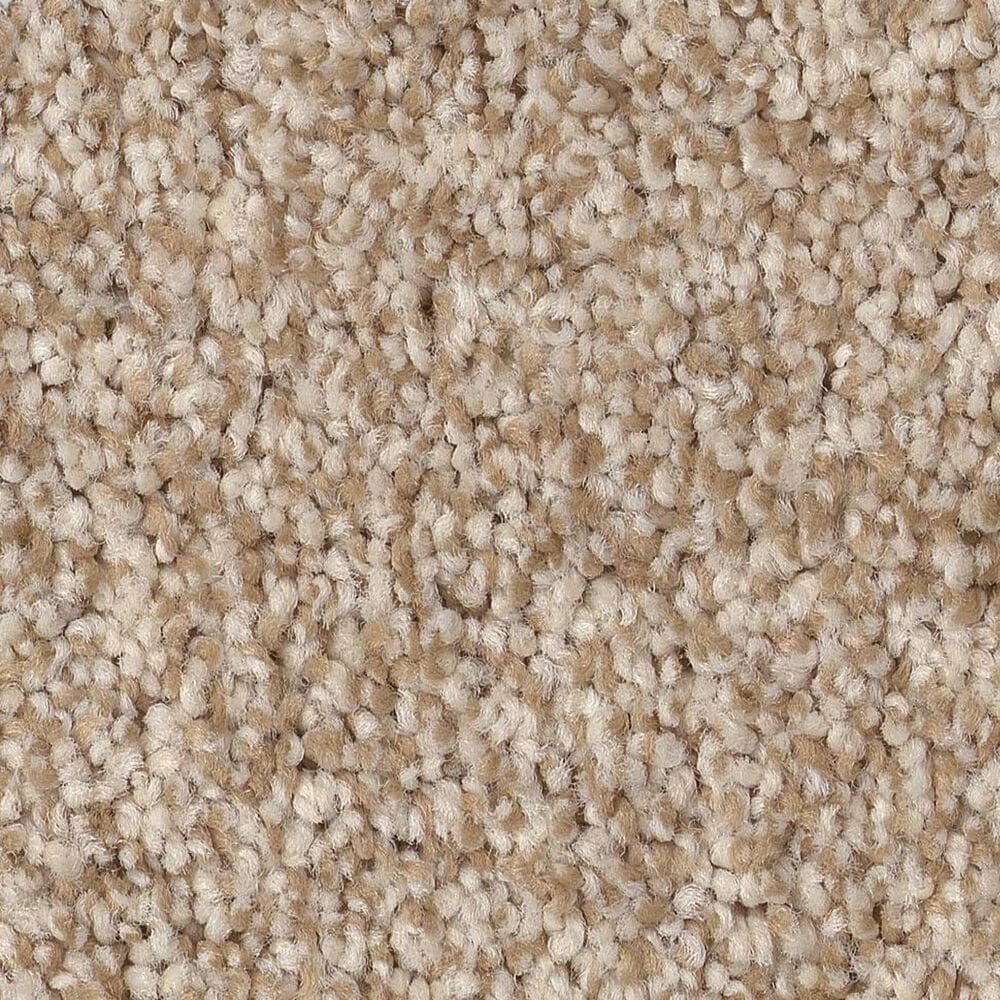 Anderson Tuftex Terra Nova Carpet in Beach Grass, , large