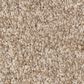 Anderson Tuftex Terra Nova Carpet in Beach Grass, , large