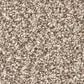 Philadelphia Renewed Energy I Carpet in Sandstone, , large