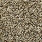 Anderson Tuftex The Bark Side II Carpet in Mesa View, , large