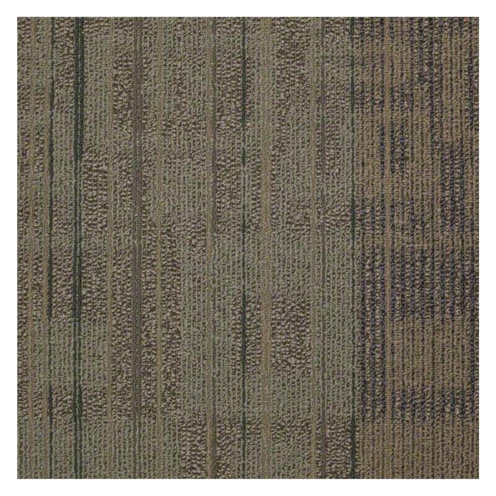 Shaw Ad-Lib 24" x 24" Carpet Tile in Reality TV, , large