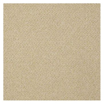 Shaw Primus Carpet in Chief, , large