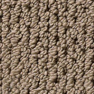 Anderson Tuftex Mera Carpet in Homestead, , large