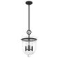 Hunter Belltown 3-Light Pendant in Natural Iron, , large