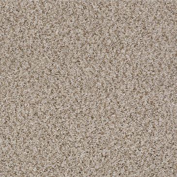 Shaw See Me Carpet in Cool Breeze, , large