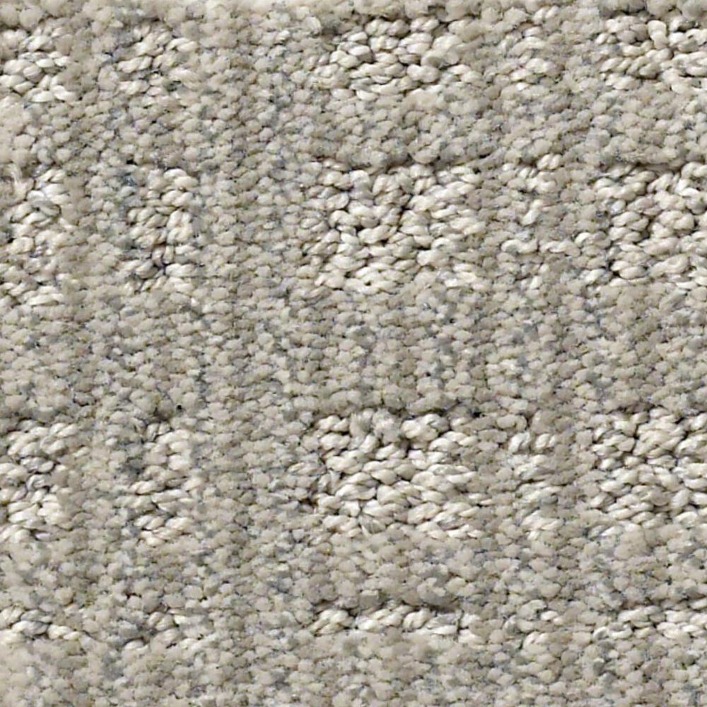 Anderson Tuftex Purrsuasion Carpet in Cement, , large