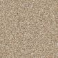 Anderson Tuftex Cypress Falls Carpet in Aura, , large