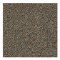 Shaw Swizzle 24" x 24" Carpet Tile in Hide N Seek, , large