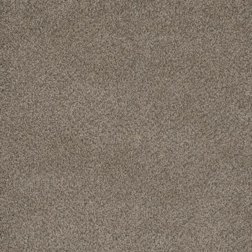 Dream Weaver PS850 Carpet in Fawn, , large