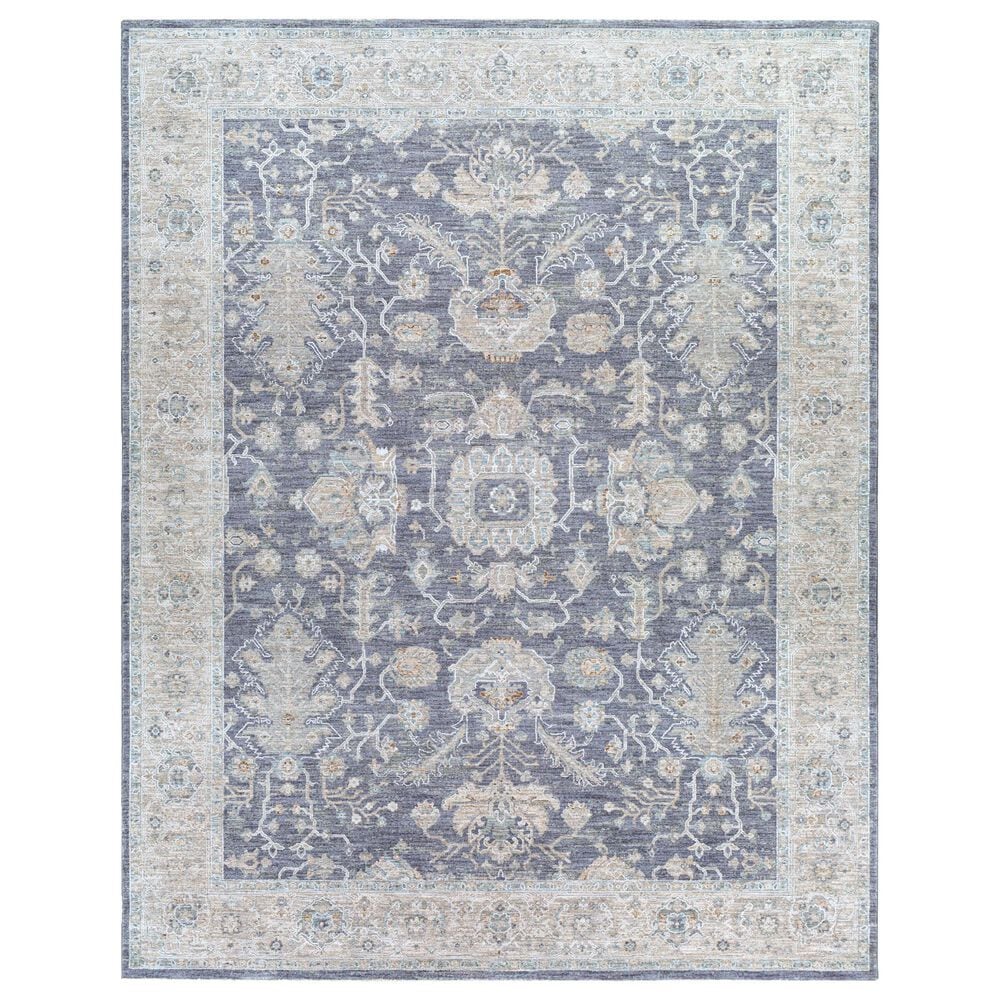 Surya Avant Garde AVT-2303 12" x 15" Gray, Beige and Denim Area Rug, , large