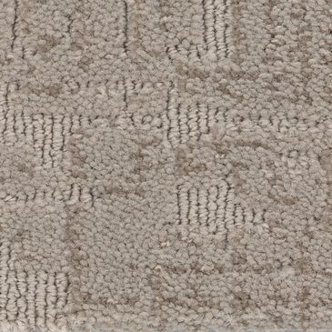 Anderson Tuftex Private Retreat Carpet in Shady, , large