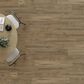 Mannington Brand Code Adura Max Coventry Forest 7" x 48" Luxury Vinyl Plank, , large