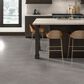 Dal-Tile Haut Monde Glitterati Granite 12" x 24" Matte Porcelain Tile, , large