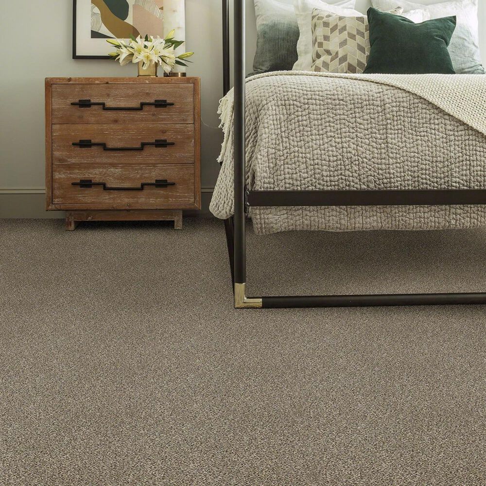 Anderson Tuftex The Bark Side II Carpet in Mesa View, , large