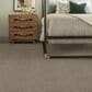 Anderson Tuftex The Bark Side II Carpet in Mesa View, , large