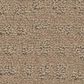 Anderson Tuftex West Haven Carpet in Beach Grass, , large