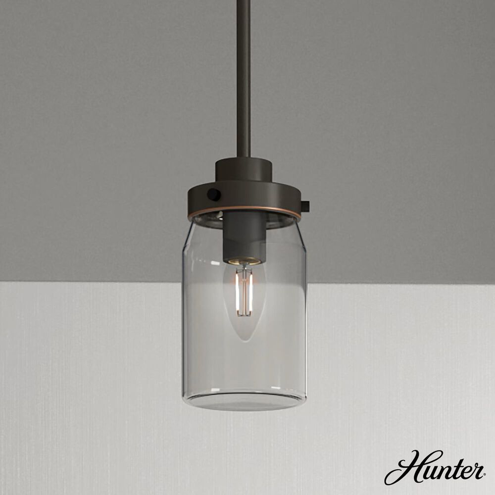 Hunter Devon Park 19008 1-Light Mini Pendant in Onyx Bengal, , large