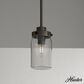 Hunter Devon Park 19008 1-Light Mini Pendant in Onyx Bengal, , large