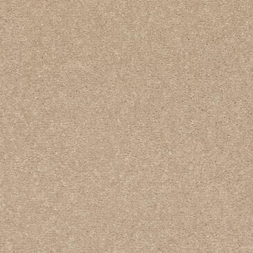 Mohawk Quality Life Carpet in Beachfront, , large