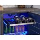 Zephyr 24" ADA Single Zone Beverage Cooler in Black and Stainless Steel, , large