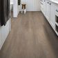 Shaw Infinite SPC Salt River 7" x 48" Luxury Vinyl Plank, , large