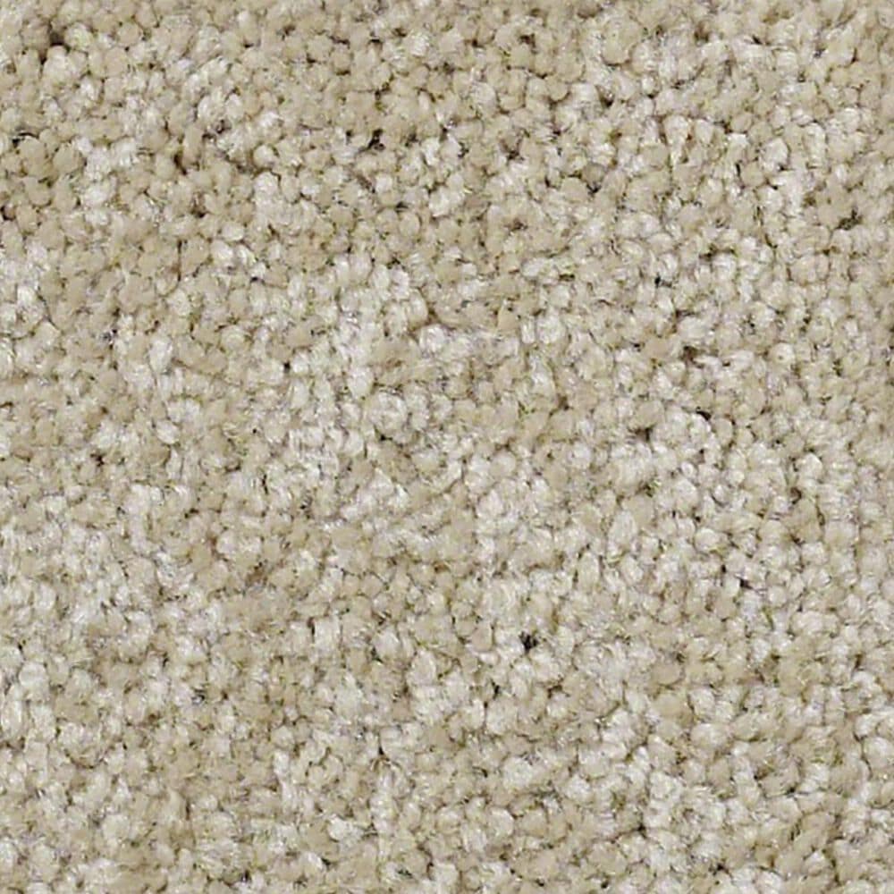 Anderson Tuftex Pawparazzi I Carpet in Monterey, , large