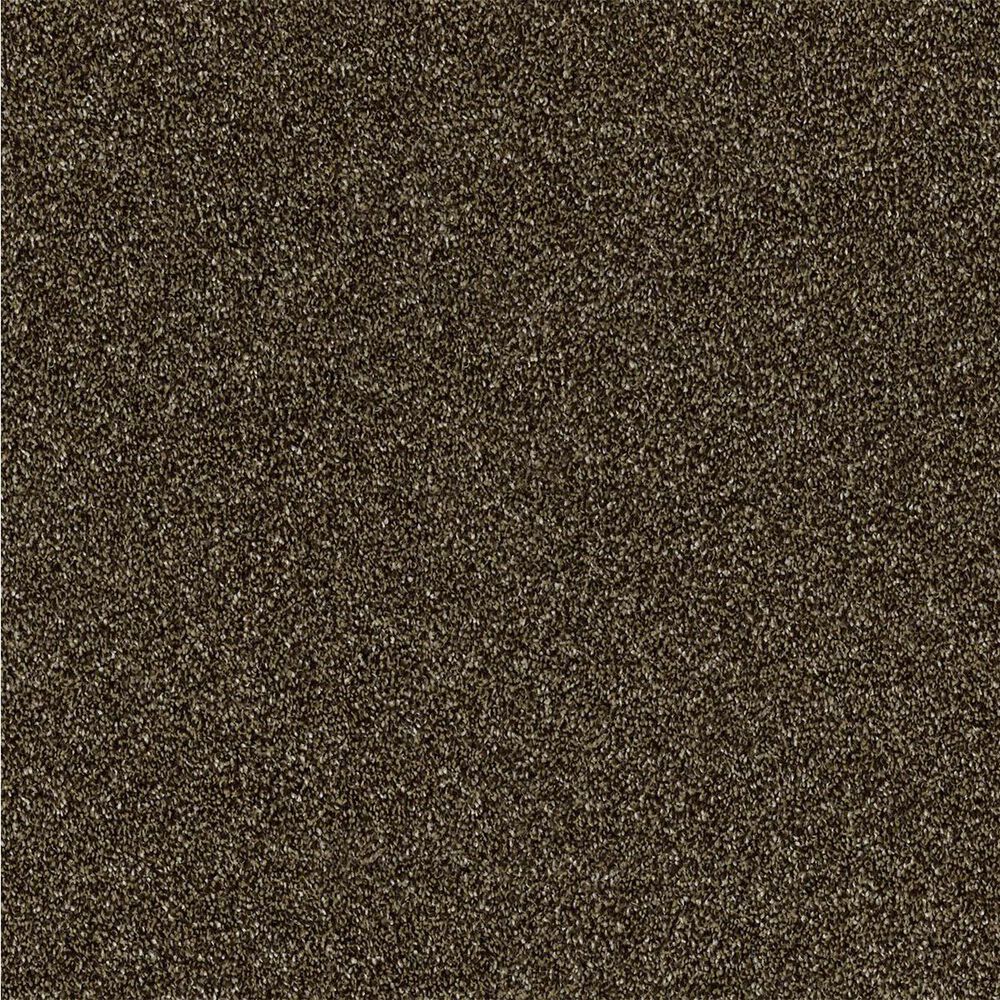 Shaw Making The Rules II 15" Carpet in Sedona, , large