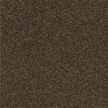 Shaw Making The Rules II 15" Carpet in Sedona, , large