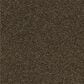 Shaw Making The Rules II 15" Carpet in Sedona, , large