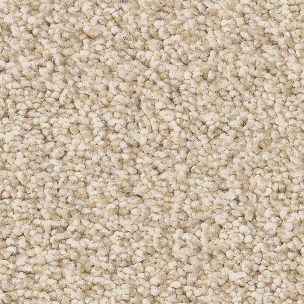 Anderson Tuftex Avalon Bay Carpet in Risotto, , large