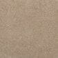 Mohawk Luxuriant Feel Carpet in Tradition, , large