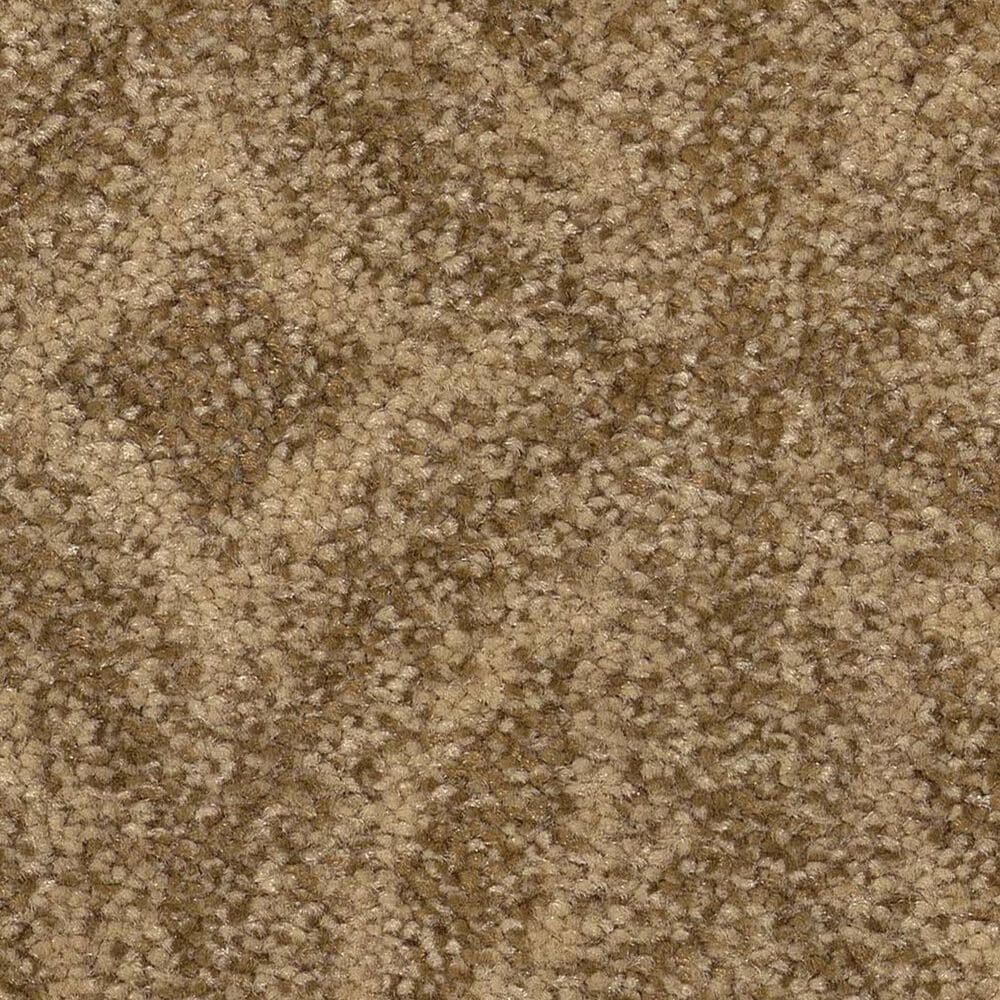 Anderson Tuftex Enlightened Carpet in Summerwood, , large