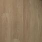 Shaw Distinction Plus Hazelnut Brown 7" x 48" Vinyl Plank, , large