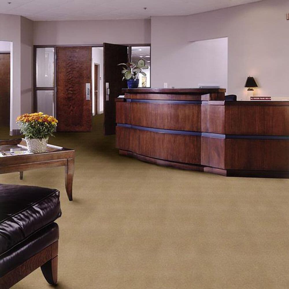 Shaw Emphatic II 36 Carpet in Straw Market, , large