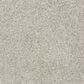 Mohawk Soft Direction III Carpet in Swiss Alps, , large