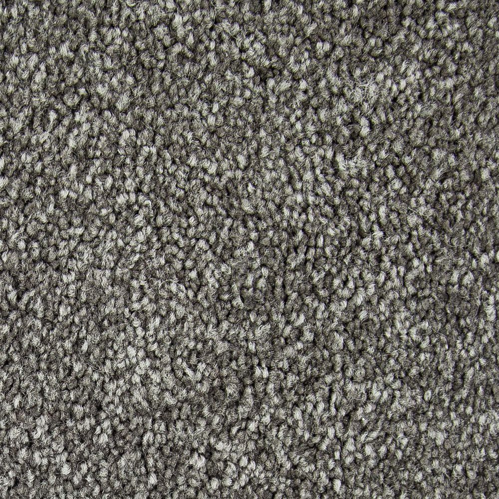 Mohawk Memorable View Carpet in Manor House, , large