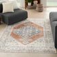 Nourison Astra Machine Washable ASW11 6"7" x 9" Grey and Multicolor Area Rug, , large