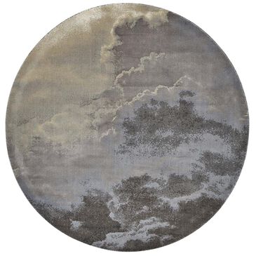 Nourison Twilight TWI18 8" Round Storm Area Rug, , large