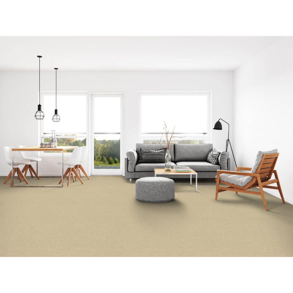Dixie Home Debut Carpet in Whisper Bluff, , large
